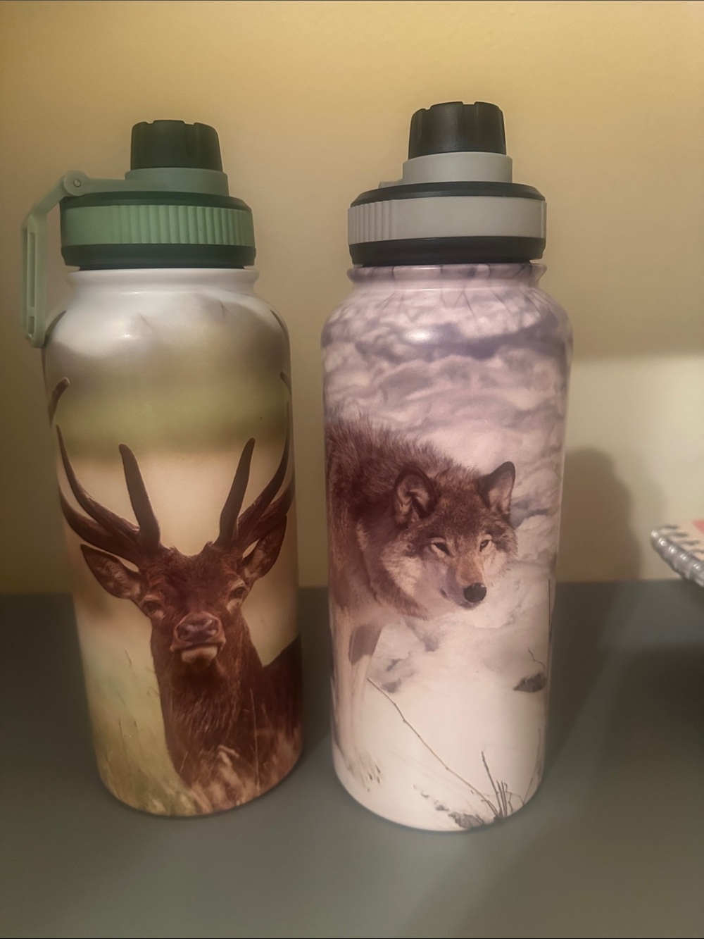 Wildlife Insulated Water Bottle - Green & Gray